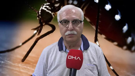 Uzman isimden Chikungunya virüsü açıklaması: Yakın bir tehdit söz konusu değil