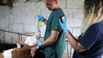 Laborant ve veteriner sağlık nedir, ne iş yapar Laborant ve veteriner sağlık iş imkanları nelerdir