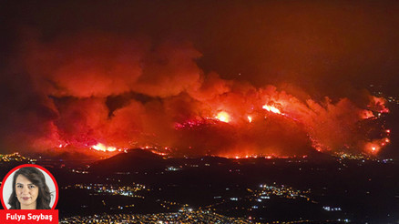 Orman yangınları neden faciaya dönüyor... Son 10 yılda 2 kat arttı