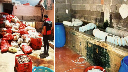 Çok sayıda kişi iştahla yiyor İmalathanedeki görüntüler mide bulandırdı