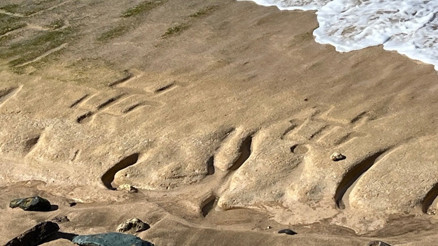 Hawaii’de 500 yıllık kaya sanatı dalgalar geri çekilince ortaya çıktı Hawaii’de 500 yıllık kaya sanatı dalgalar geri çekilince ortaya çıktı