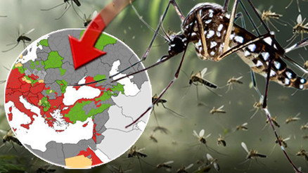 Chikungunya ateşi yayılıyor Tüm Ege ve Karadeniz sahili kırmızı alanda Küresel bir salgına dönüşür mü Chikungunya ateşi yayılıyor Tüm Ege ve Karadeniz sahili kırmızı alanda Küresel bir salgına dönüşür mü