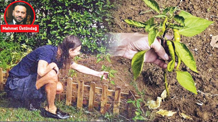 Tarım yapmaya başladı