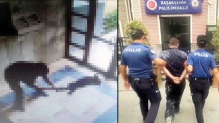 Kediyi işkenceyle öldürdü