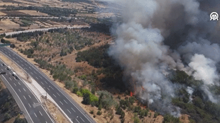 Kırklarelinde ağaçlık alanda yangın: Havadan ve karadan müdahale edildi