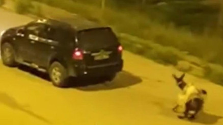 Görüntüler sosyal medyada gündem olmuştu Eşeğe eziyet edenler cezasız kalmadı