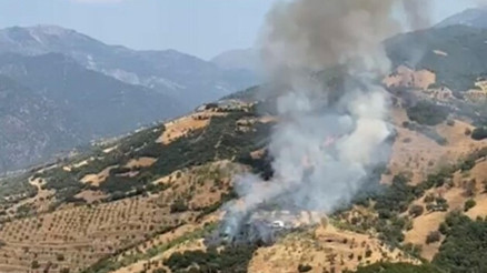 Aydında zeytinlik alanda yangın