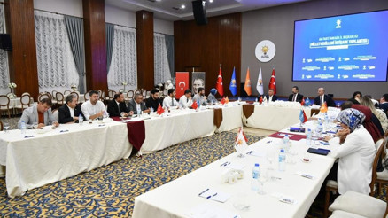 Ankara istişaresi