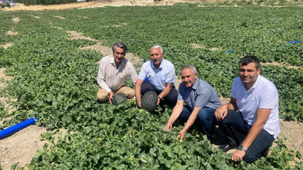 Ata tohumuyla kavun hasadı