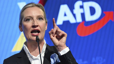 AfD yasağına hayır