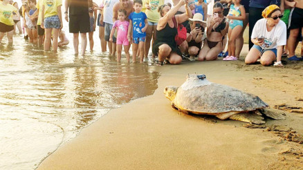 İyi yolculuklar ‘Tuba’