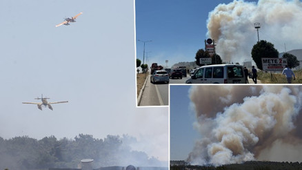 Çanakkalenin Kepez beldesinde orman yangını