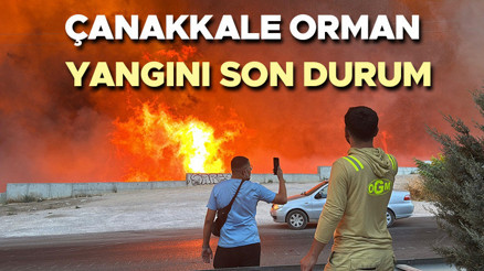 Çanakkale Kepez orman yangını son durum 11 Ağustos 2025 | Kepezdeki orman yangını söndürüldü mü, devam ediyor mu, kontrol altına alındı mı Kepez nerede, Çanakkale ile arasında kaç km var