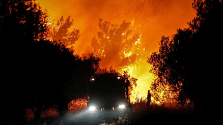Hükümet’ten orman yangınlarına ilişkin açıklama: Yangında riskli bölgelere özel önlemler geliyor