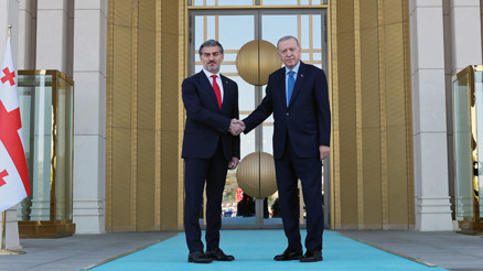 Cumhurbaşkanı Erdoğan: Gürcistan ve Türkiye stratejik ortak