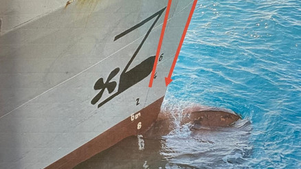 Halit Yukayın teknesine çarptığı ileri sürülen geminin görüntüleri kamerada Halit Yukayın teknesine çarptığı ileri sürülen geminin görüntüleri kamerada