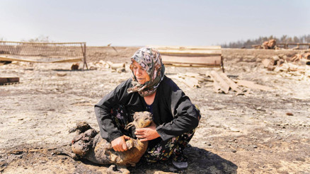 Çanakkale’de acı bilanço: 10 bin dönüm