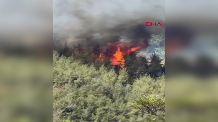 Osmaniye’de orman yangını