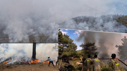 Son dakika... Osmaniyedeki orman yangını kontrol altına alındı | İşte alevlerle mücadelede son durum...