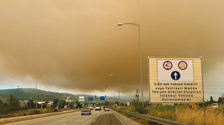 Alevler yerleşim yerlerine ulaştı