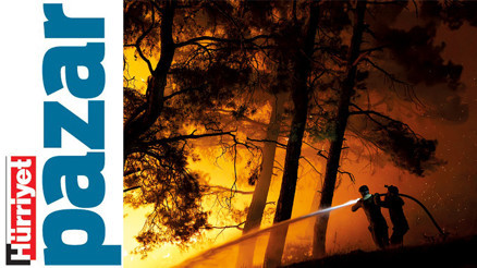 ‘3-5 yılda yeşillenir belki ama ekosistem tarumar oldu’