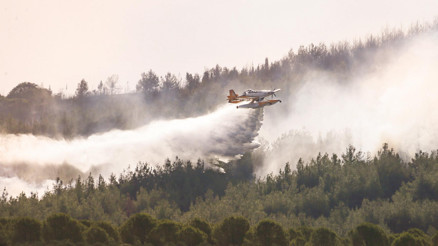 Gelibolu tarihi risk altında