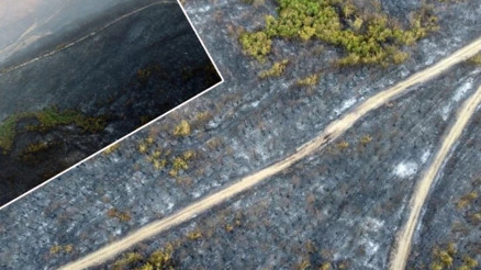 Gelibolu’da büyük ölçüde kontrol altına alınan orman yangınında yanan yerler görüntülendi