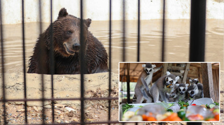 Kentte hava sıcaklığı mevsim normallerinin üzerine çıktı Bu yöntemle serinliyorlar