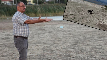 Kıyıdan 300 metre çekildi... Tüm Türkiye’nin başı sağ olsun dedi ve uyardı