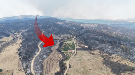 Çanakkalede her yer griye döndü Bir tek orası yemyeşil kaldı