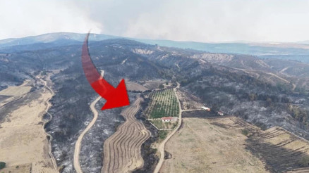 Çanakkalede her yer griye döndü Bir tek orası yemyeşil kaldı