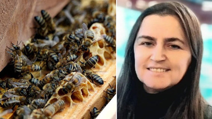 Giresunda fındık toplarken arının soktuğu kadın hayatını kaybetti