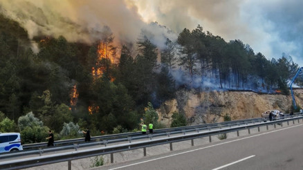 Son dakika... Boluda orman yangını Rüzgarın etkisiyle büyüdü