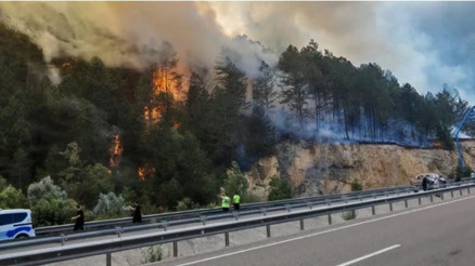 Bolu’da orman yangını