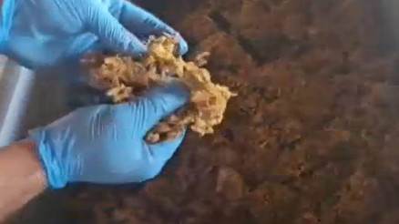 Ankarada 4,5 ton kaçak nargile tütünü ele geçirildi