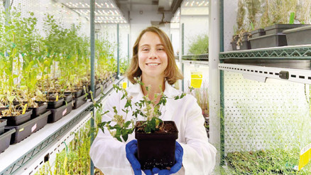 Stanfordlu Elif Gediz Kocaoğlan: Bu bitkiler açlığa çare olabilir