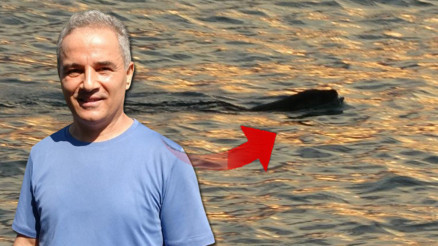 Karadenizde tedirgin eden manzara Güçlü bir yırtıcı diyerek açıkladı