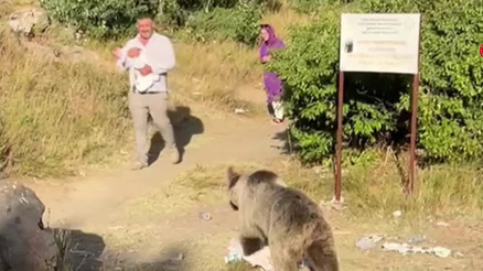 Kucağında bebeğiyle dolaşan adama ayı saldırdı Korku dolu anlar kamerada