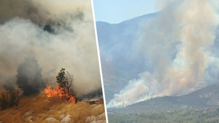 Muğla ve Bingölde ormanlık alanda yangın: Ekiplerin müdahalesi sürüyor