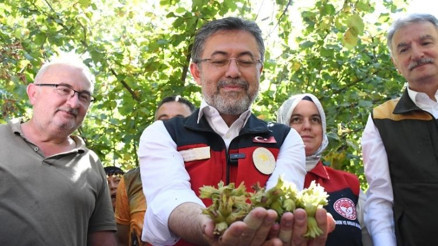 Bakan Yumaklı fındıktaki zirai dondan etkilenen çiftçilere seslendi: 2,3 milyar TL tazminat ödenecek Bakan Yumaklı fındıktaki zirai dondan etkilenen çiftçilere seslendi: 2,3 milyar TL tazminat ödenecek