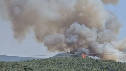 İzmirde orman yangını: Havadan ve karadan müdahale ediliyor