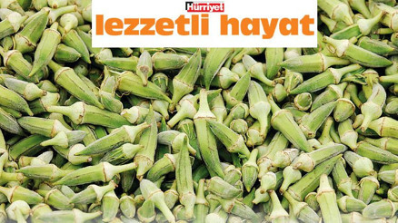 Yeşil, kadifemsi ve çokyönlü Yeşil, kadifemsi ve çokyönlü