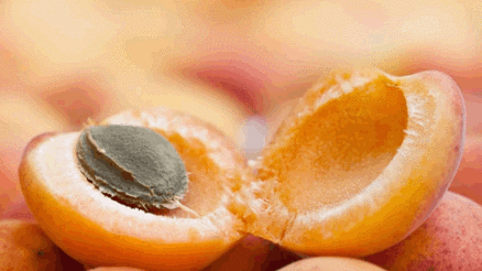 Yaşlanmaya kafa tutan Hunzaların sırrı ne Yaşlanmaya kafa tutan Hunzaların sırrı ne