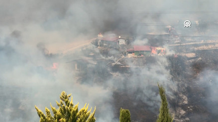 Kocaelide otluk alanda yangın