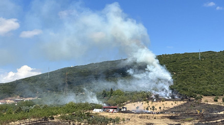 Kocaelide ormana sıçrayan yangın, kontrol altında
