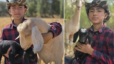 Çantasına koyup köyüne götürmüştü Küçük çobandan çağrı: Gelin birlikte büyütelim