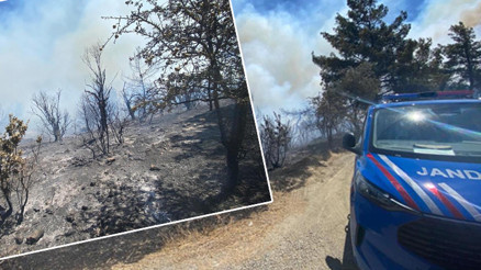 3 ilede orman yangını kontrol altına alındı