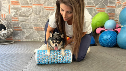 Görme engelli obez köpek Mia, pilates ve yüzmeyle zayıflıyor Sürekli yemek yiyip yatmak istiyordu