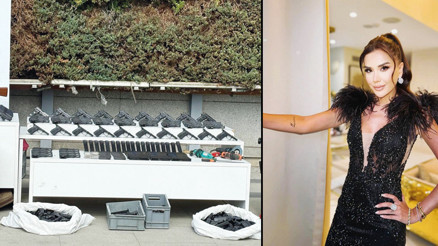 ‘Dilan Polat’a saldırı planını polis engelledi... Operasyonla çökertildi