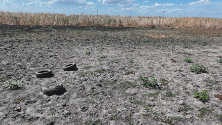 Edirnedeki Yağcılı Göleti kuraklık nedeniyle kurudu